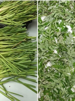 新鮮香茅