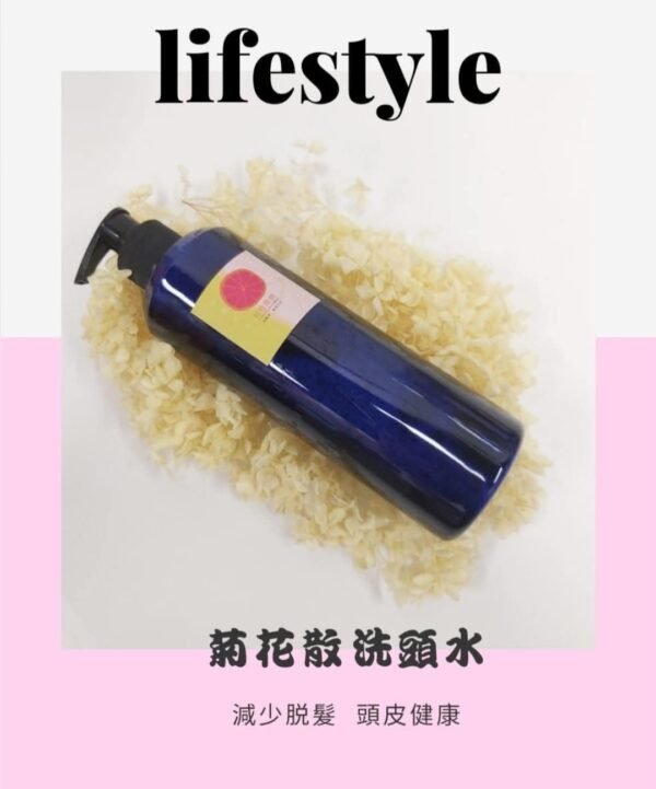 菊花散洗頭水