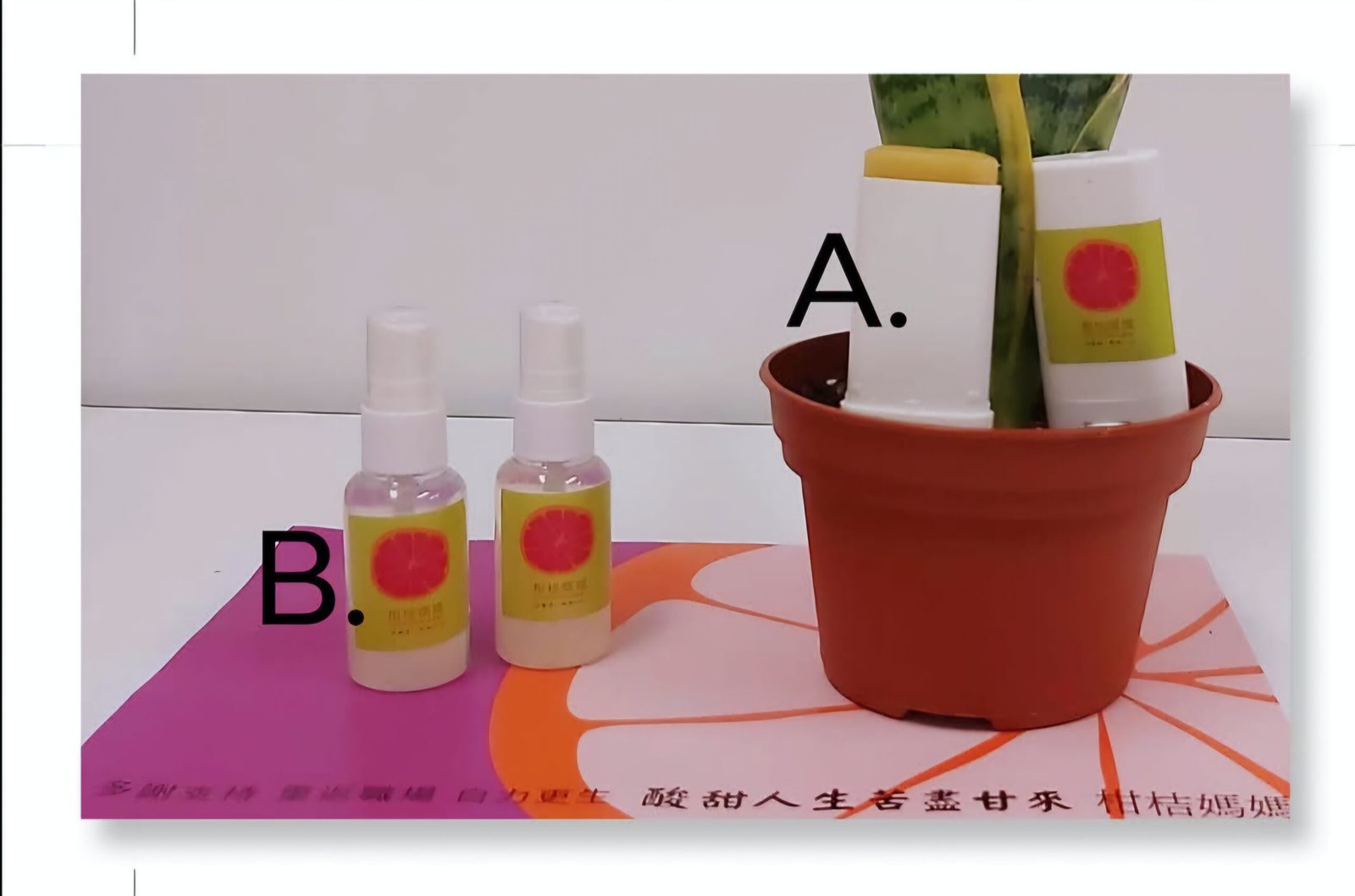 驅蚊孖寶