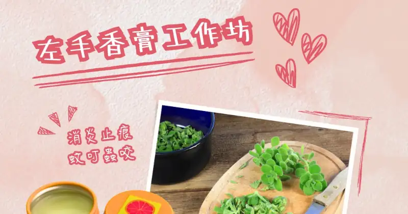 河背農田 左手香膏工作坊